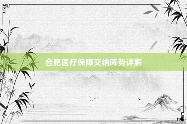 合肥医疗保障交纳阵势详解