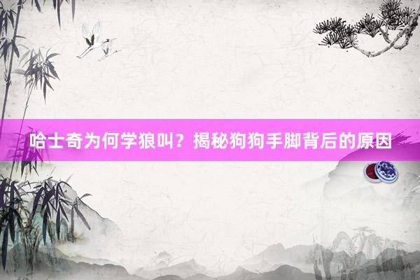 哈士奇为何学狼叫？揭秘狗狗手脚背后的原因