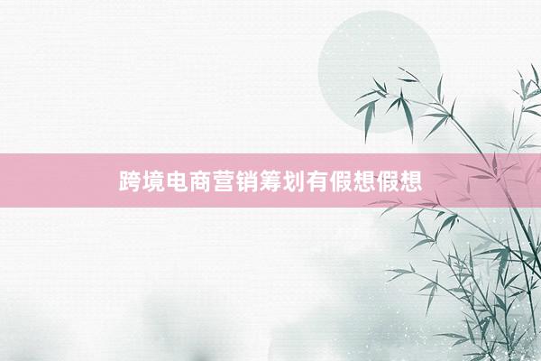 跨境电商营销筹划有假想假想